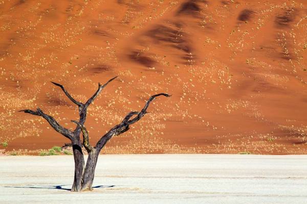 Photograph Karin De Winter Deadvlei Dance on One Eyeland